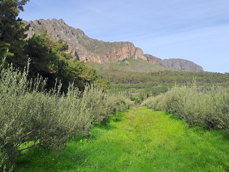 3 Bedroom Property for Sale in Klein Drakenstein Western Cape